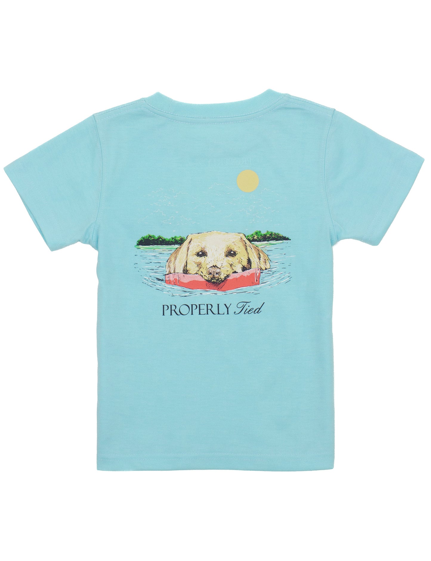 LD Spring Retriever Tee-Arctic