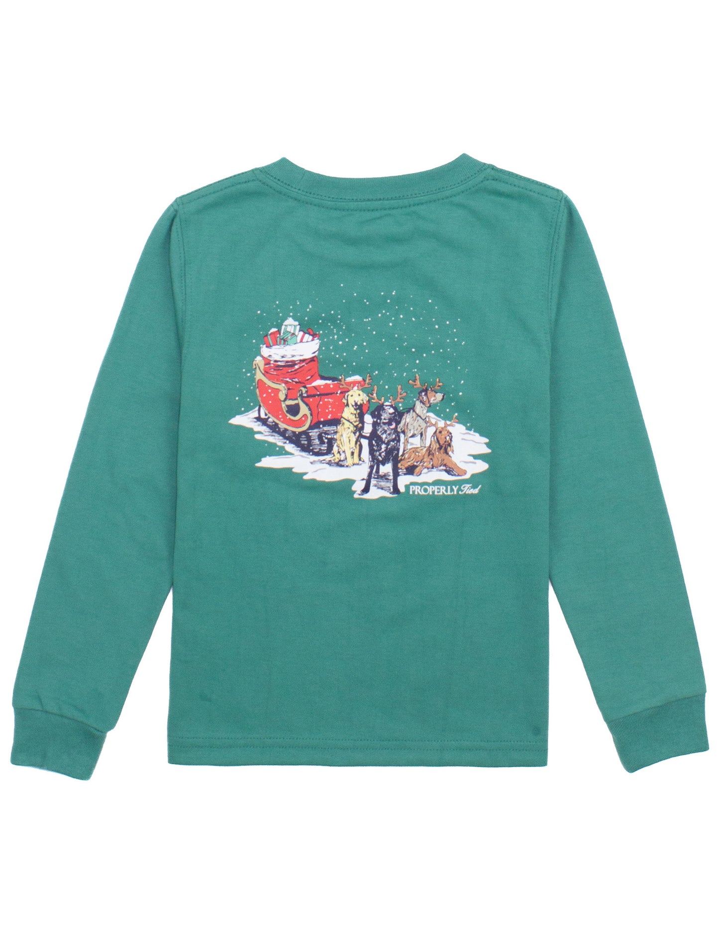 Sleigh Dogs LS, Teal