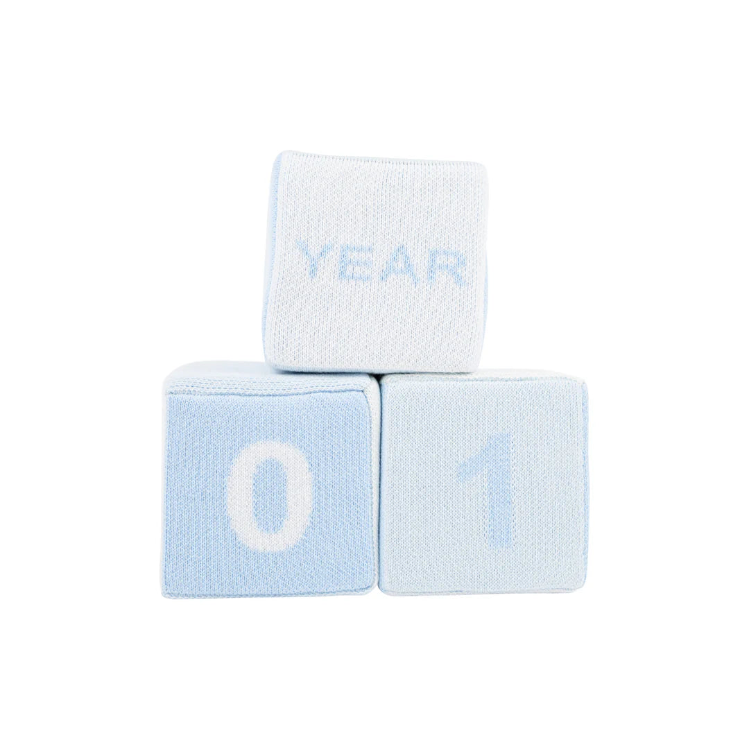 Blaylock Blocks Buckhead Blue, Beale Street Blue, & Palmetto Pearl