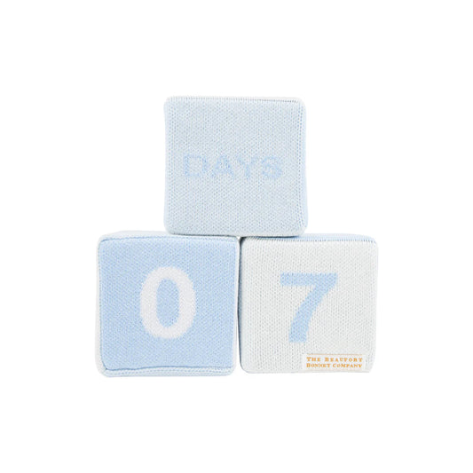 Blaylock Blocks Buckhead Blue, Beale Street Blue, & Palmetto Pearl