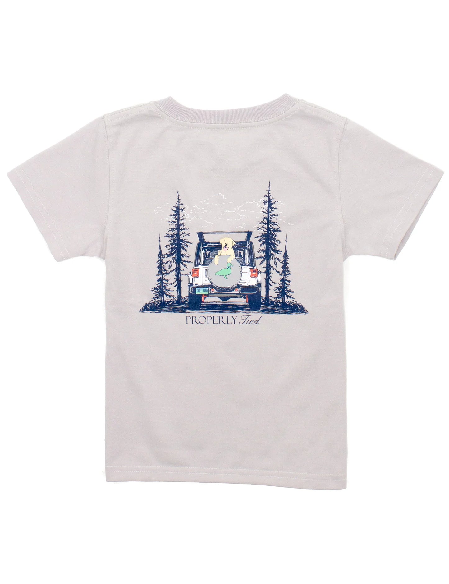 LD Boys Catch A Ride SS Tee - Ice Grey